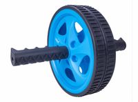 Rueda de Entrenamiento Live Sport