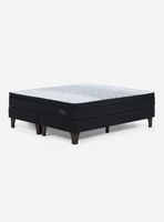 Box Spring Tempo King
