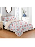 Quilt Sherpa Goverla King