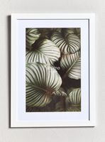 Marco de Foto Blanco 20x30 cm