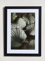 Marco de Foto con Borde Negro 20X30