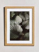 Marco de Foto Pino 20x30 cm