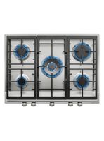 Encimera a Gas 5 Quemadores EX 70.1 5G AI AL DR CI Plata