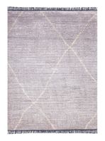 Alfombra Mystique Gris/Beige 160x230 cm