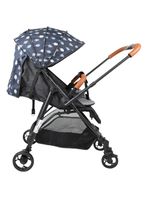 Coche Paseo Forest Gris Oscuro