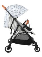 Coche Paseo Forest Gris