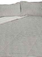 Plumón Coral King Magnolio