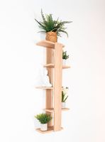 Repisa para Plantas Molly