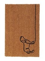 Limpiapiés Pas 40x60 cm Café