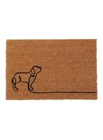 Limpiapiés Pas 45x75 cm Café