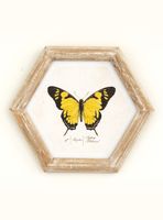 Cuadro Mariposa 26x30 cm Amarilla