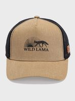 Jockey Anuk Orgánico Color