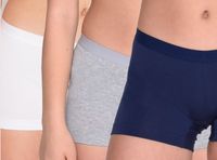 Pack Intime 3 Pantaleta Algodón Elasticado Colores