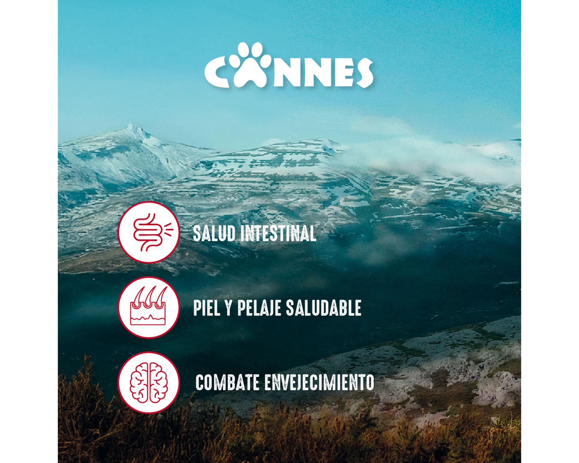 Alimento cachorro 3 kg raza mediana grande carne leche Cannes-3