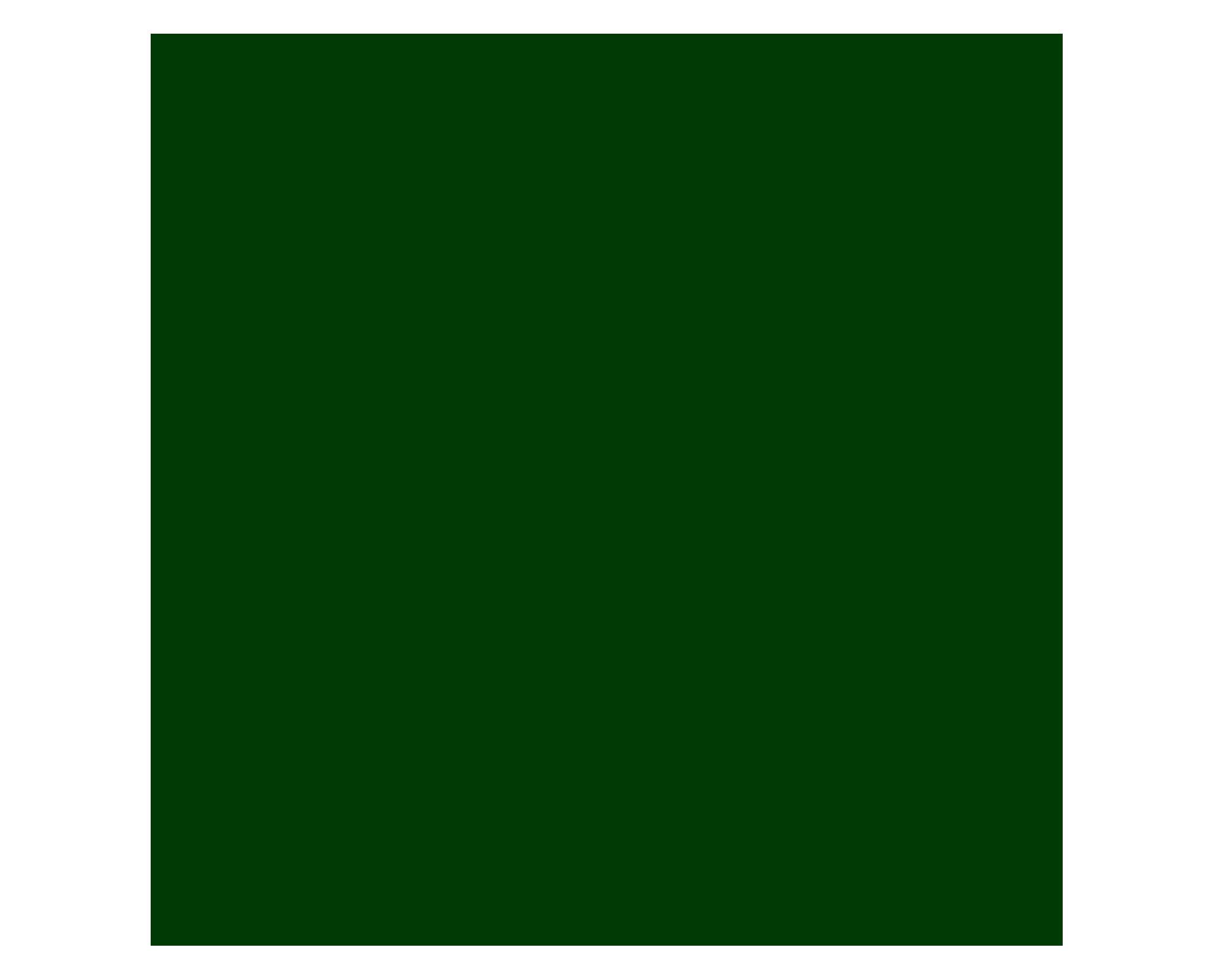 Esmalte sintético 1/4 galón Profesional verde trébol brillante Tricolor-1