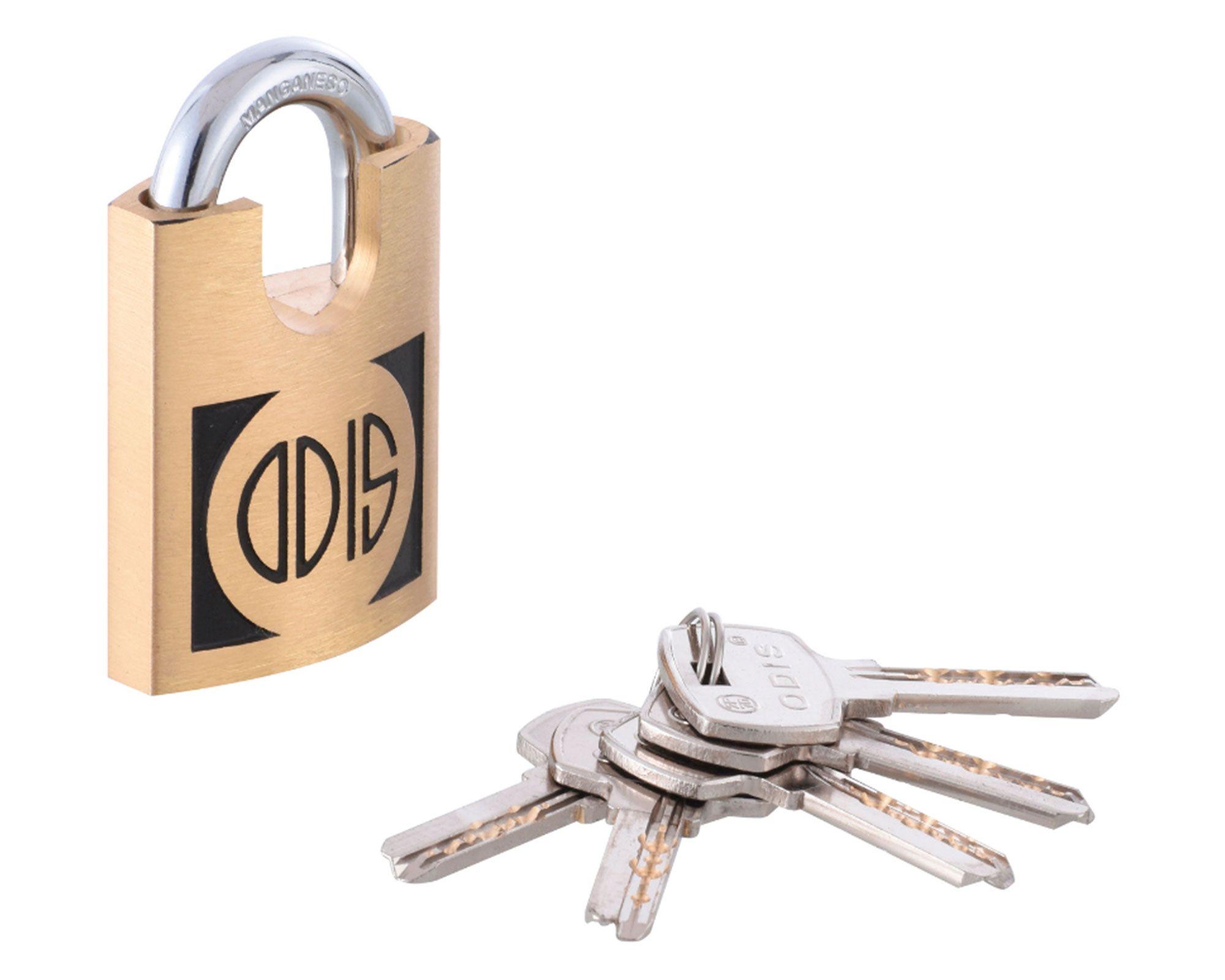 Candado alta seguridad exterior bronce 50 mm Línea 500-1