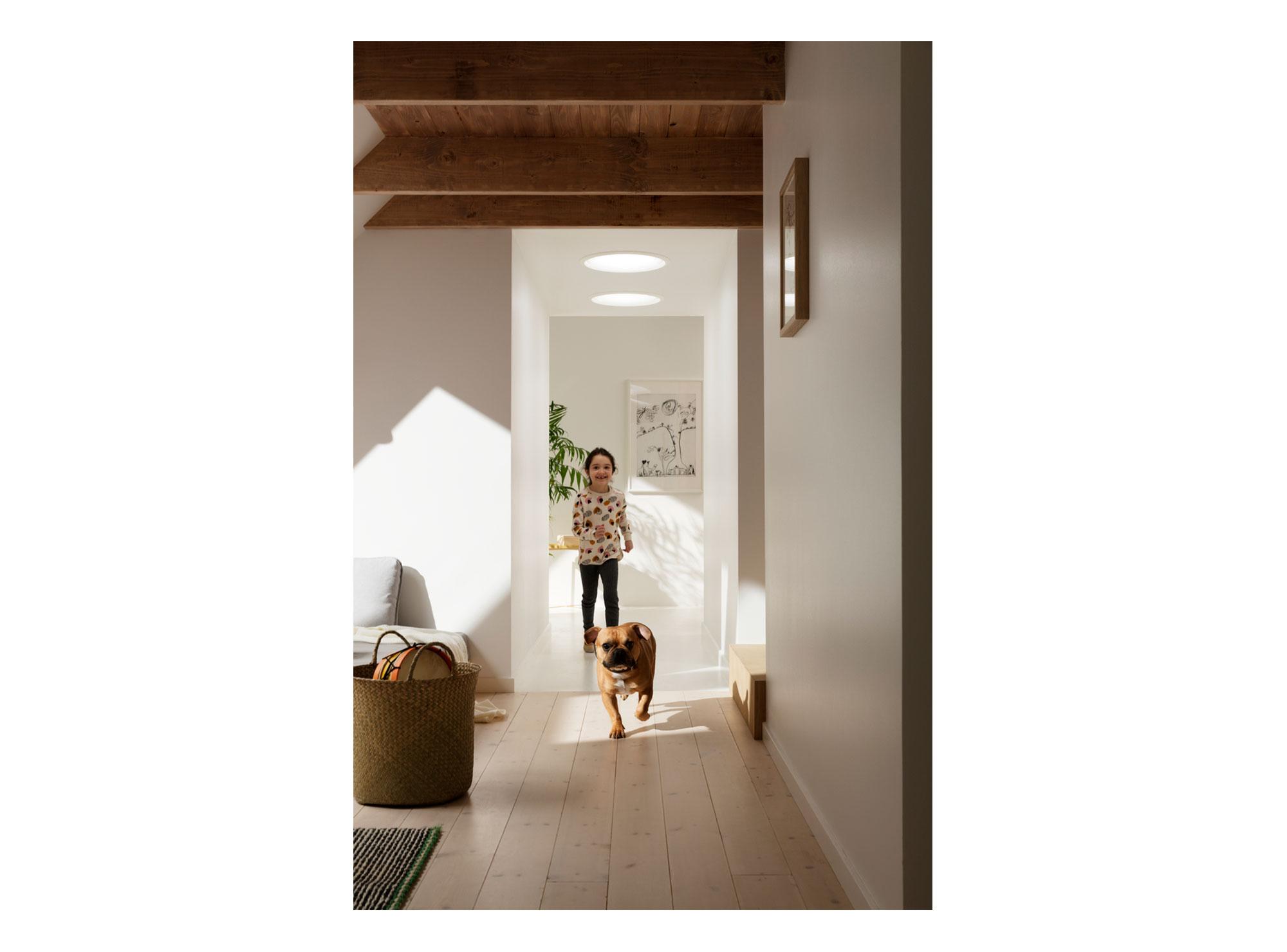 Túnel solar flexible para techo liso e inclinado Velux-6