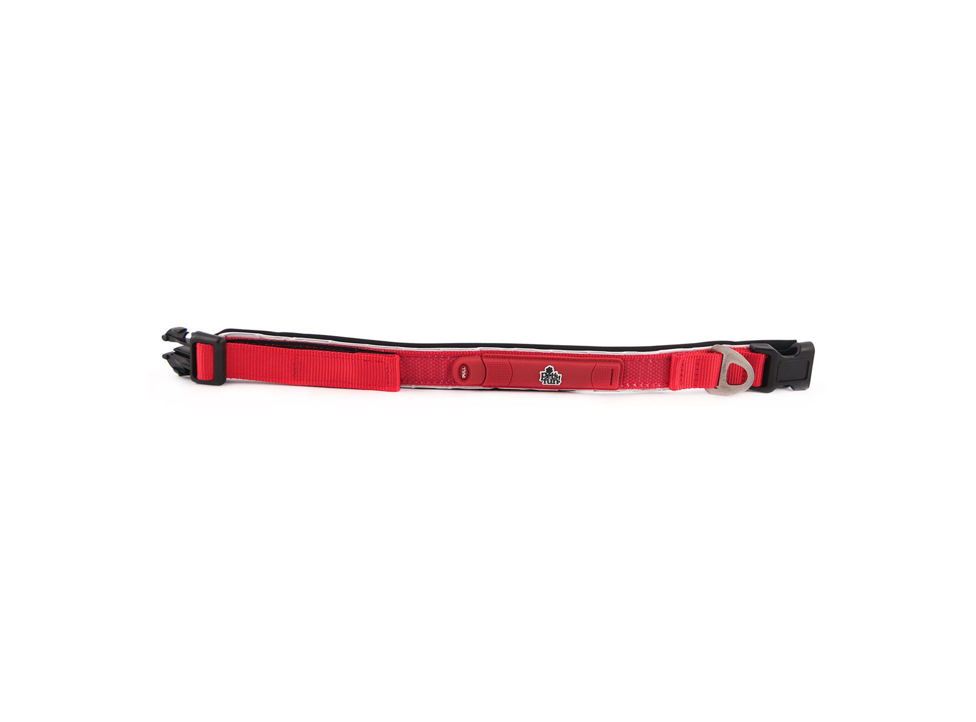 Collar perro S Extreme Pet's fun-1