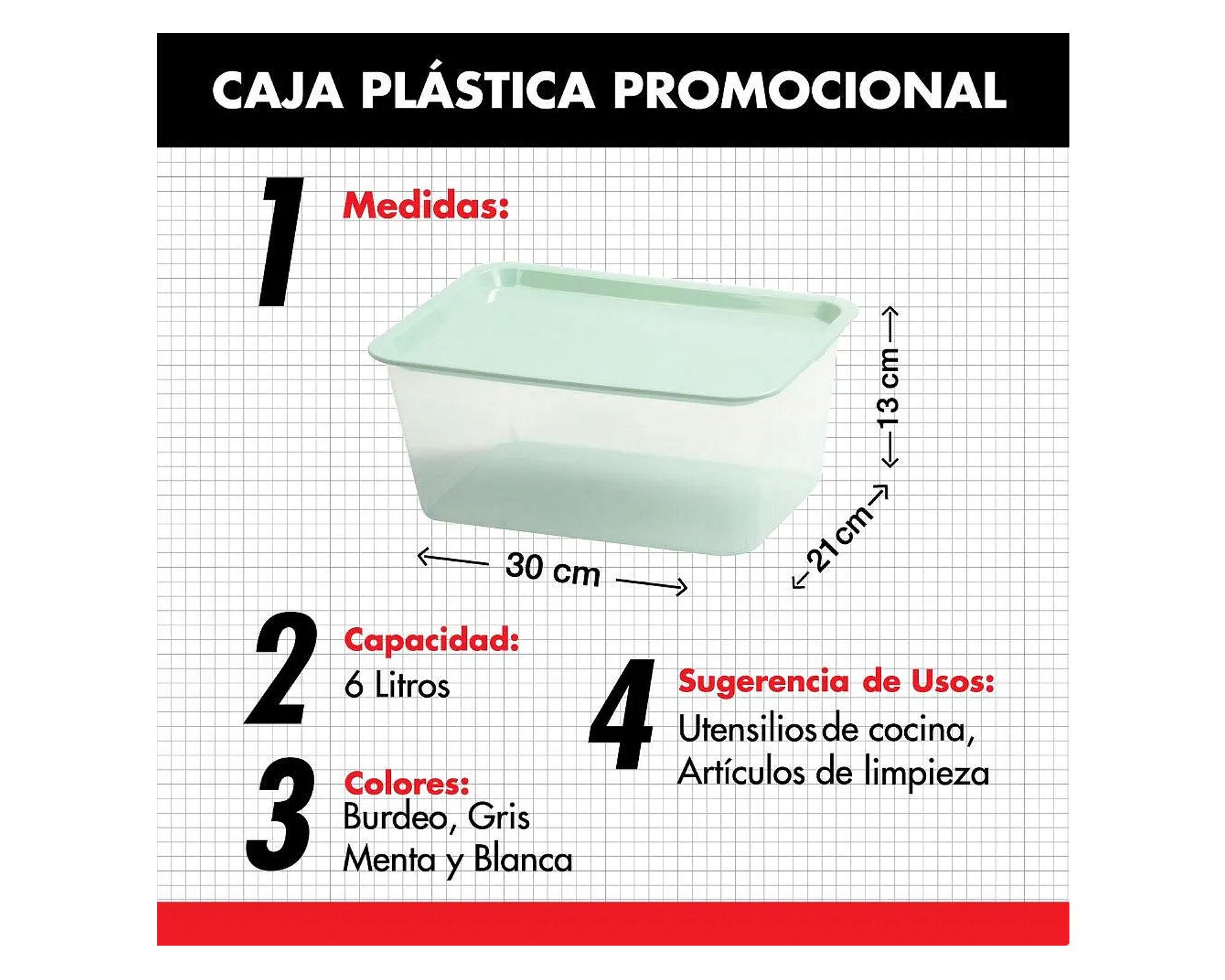 Caja organizadora gris plástica 6 lt-4