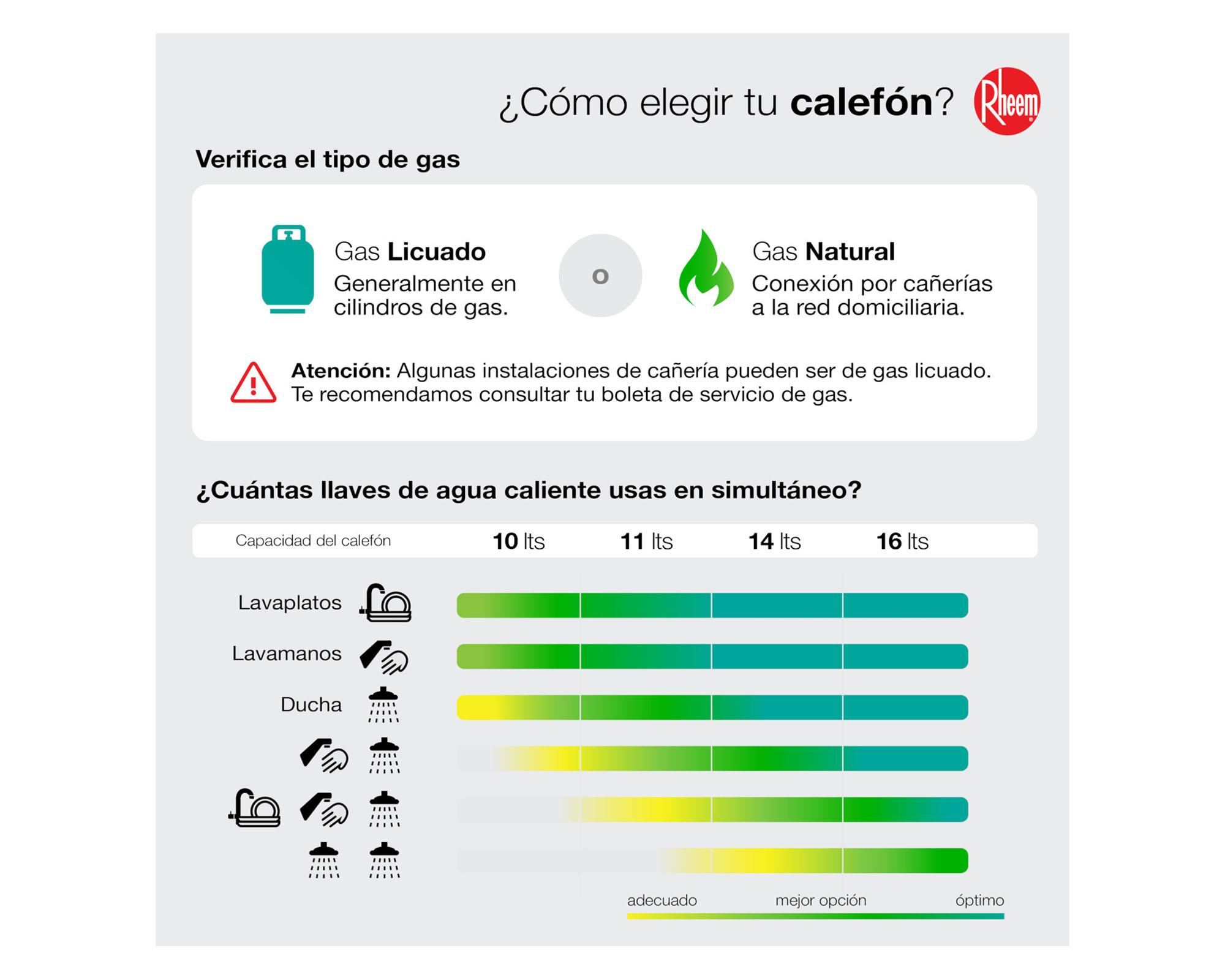 Calefont tiro natural 10 litros gas natural Prestige Rheem-4