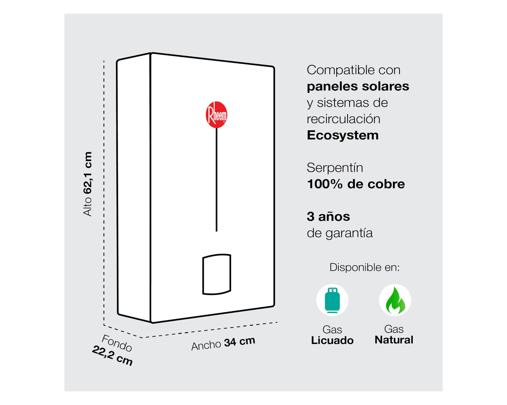 Calefont tiro natural 10 litros gas natural Prestige Rheem-3