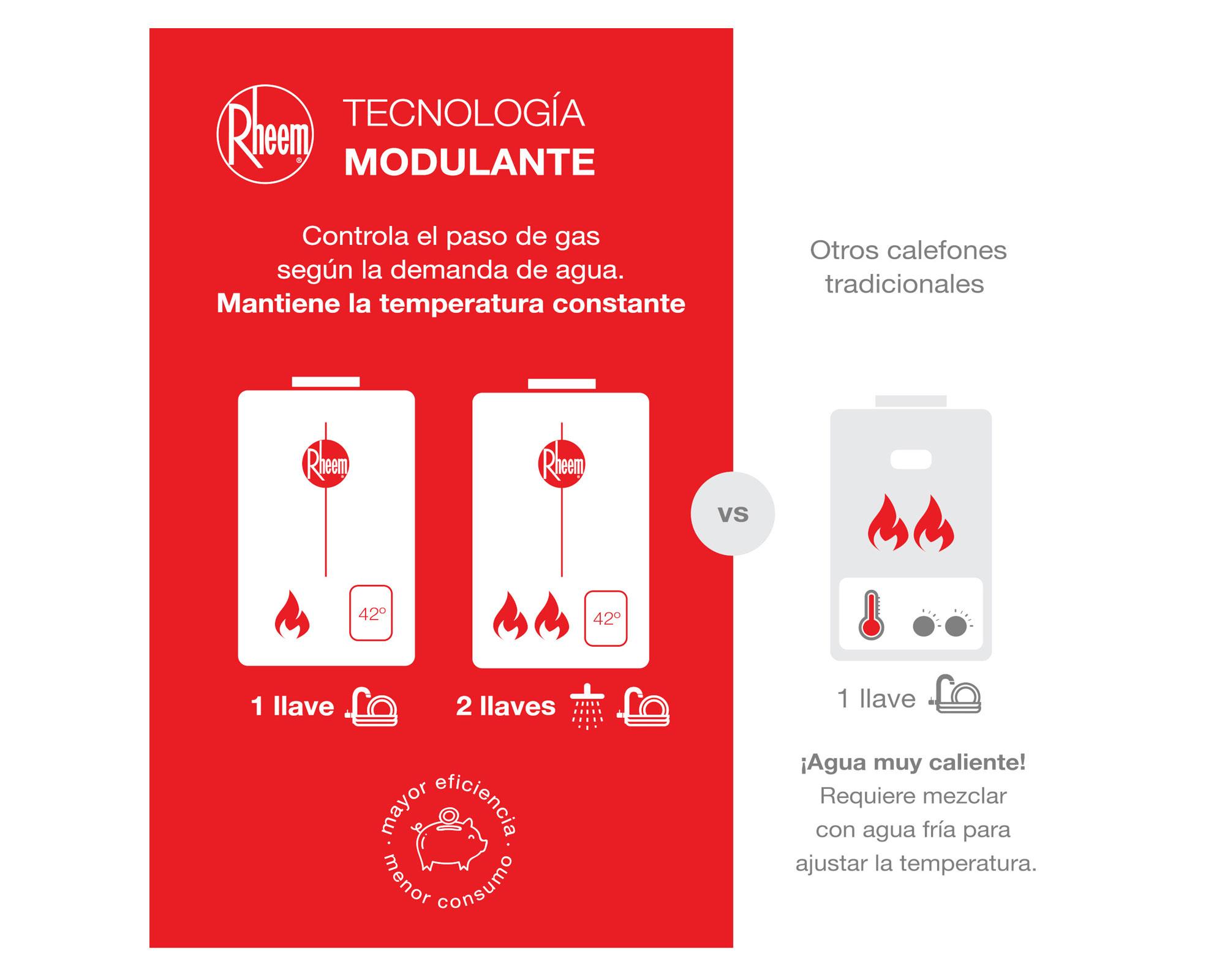Calefont tiro natural 14 litros gas licuado Prestige Rheem-5