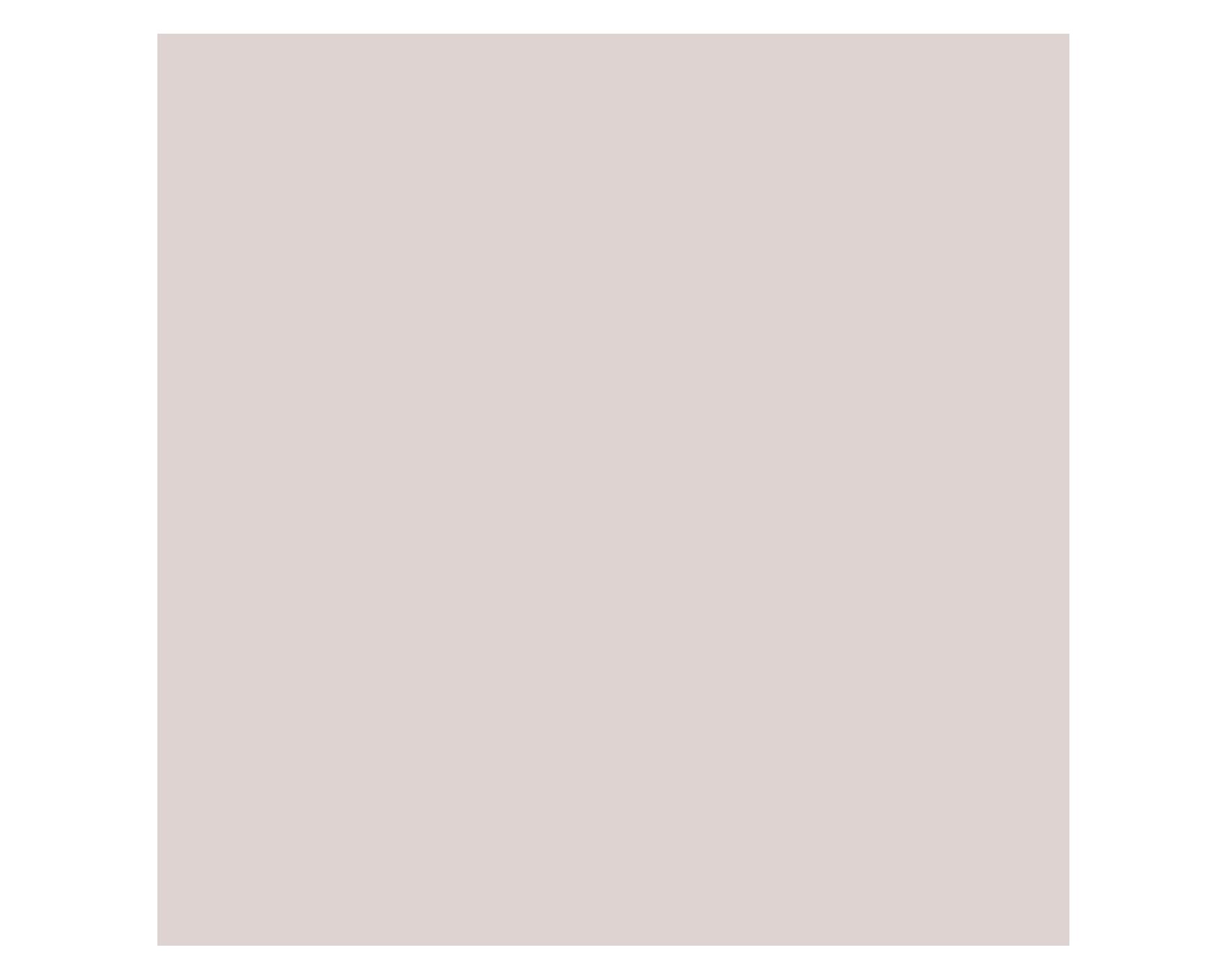 Pintura 330 ml Chalky look mr grey mate Fleur-3