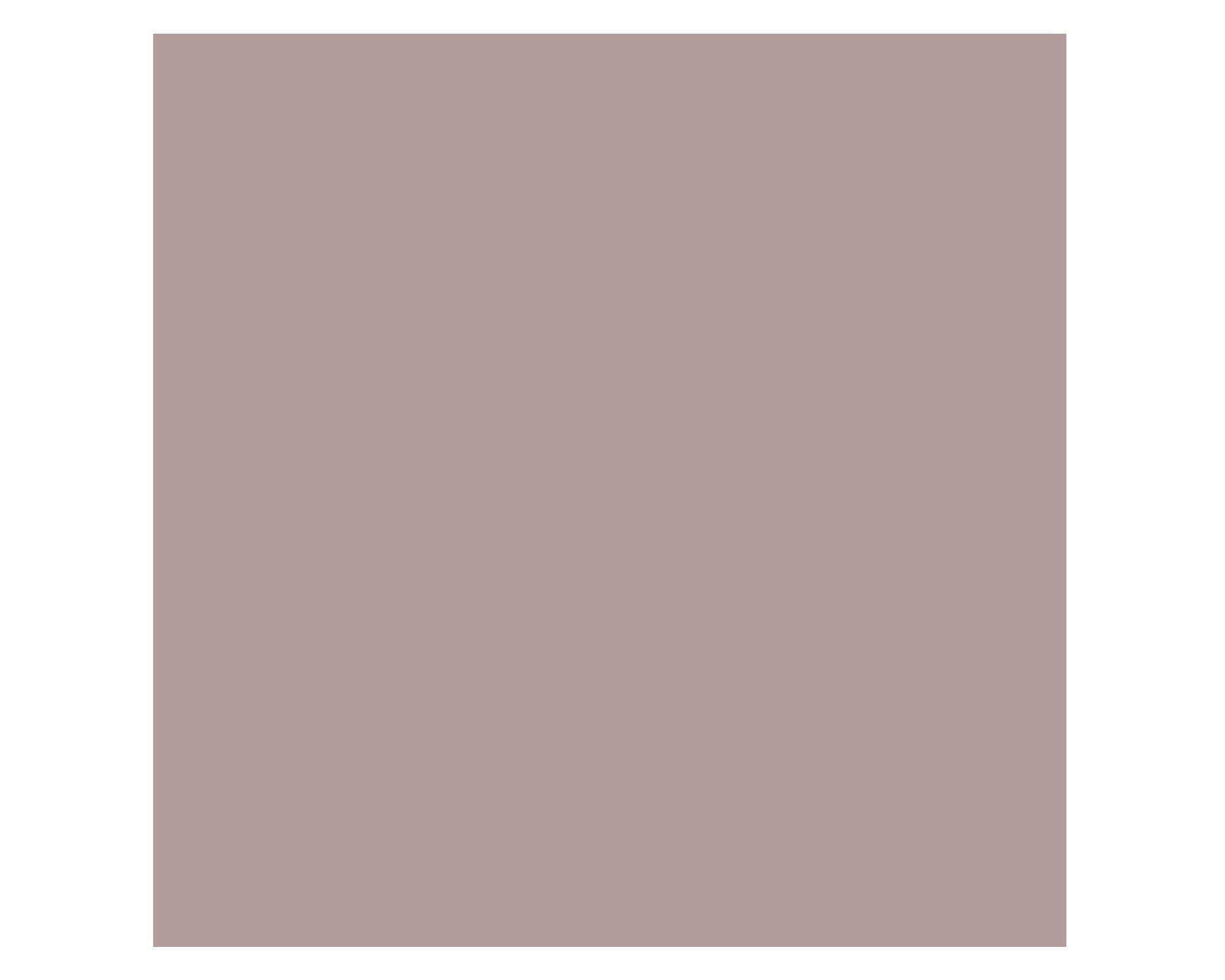 Pintura 130 ml Pizarrón indian elephant mate Fleur-3