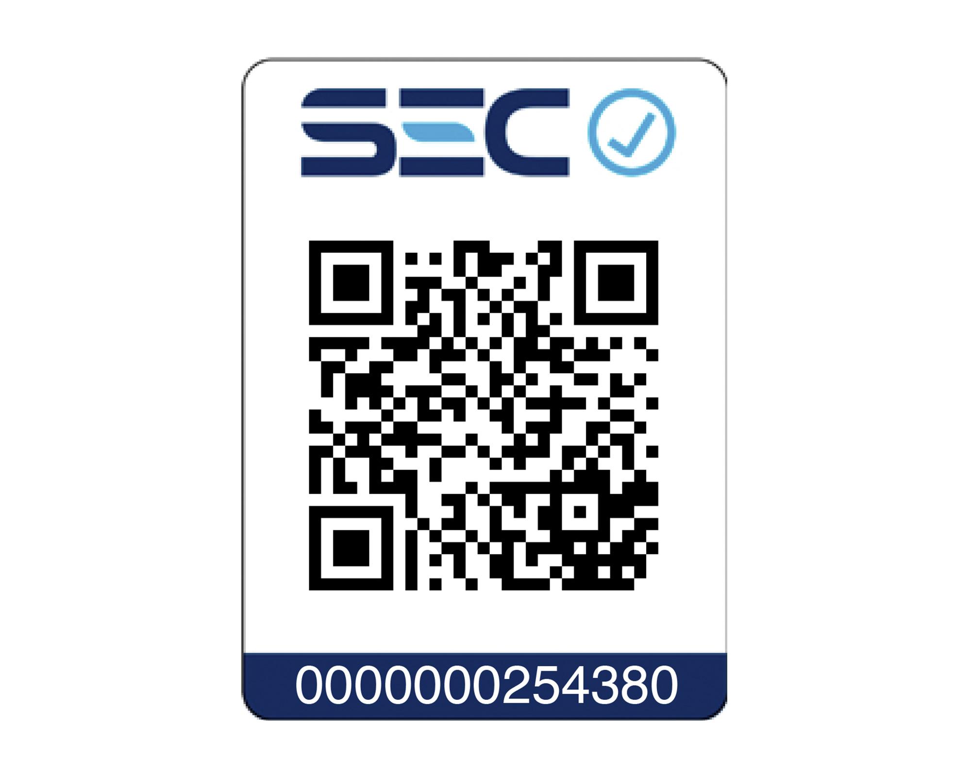 Generador eléctrico a gas/gasolina 2800W DG3000 Power Pro-6