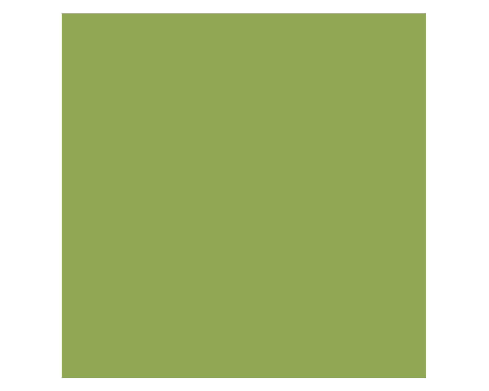Pintura 130 ml Pizarrón bamboo mate Fleur-1