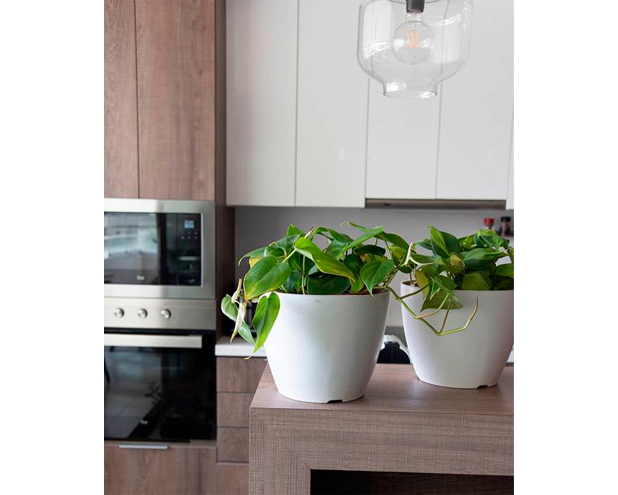 Macetero Biodegradable Bamboo blanco 24x24x18 cm-2