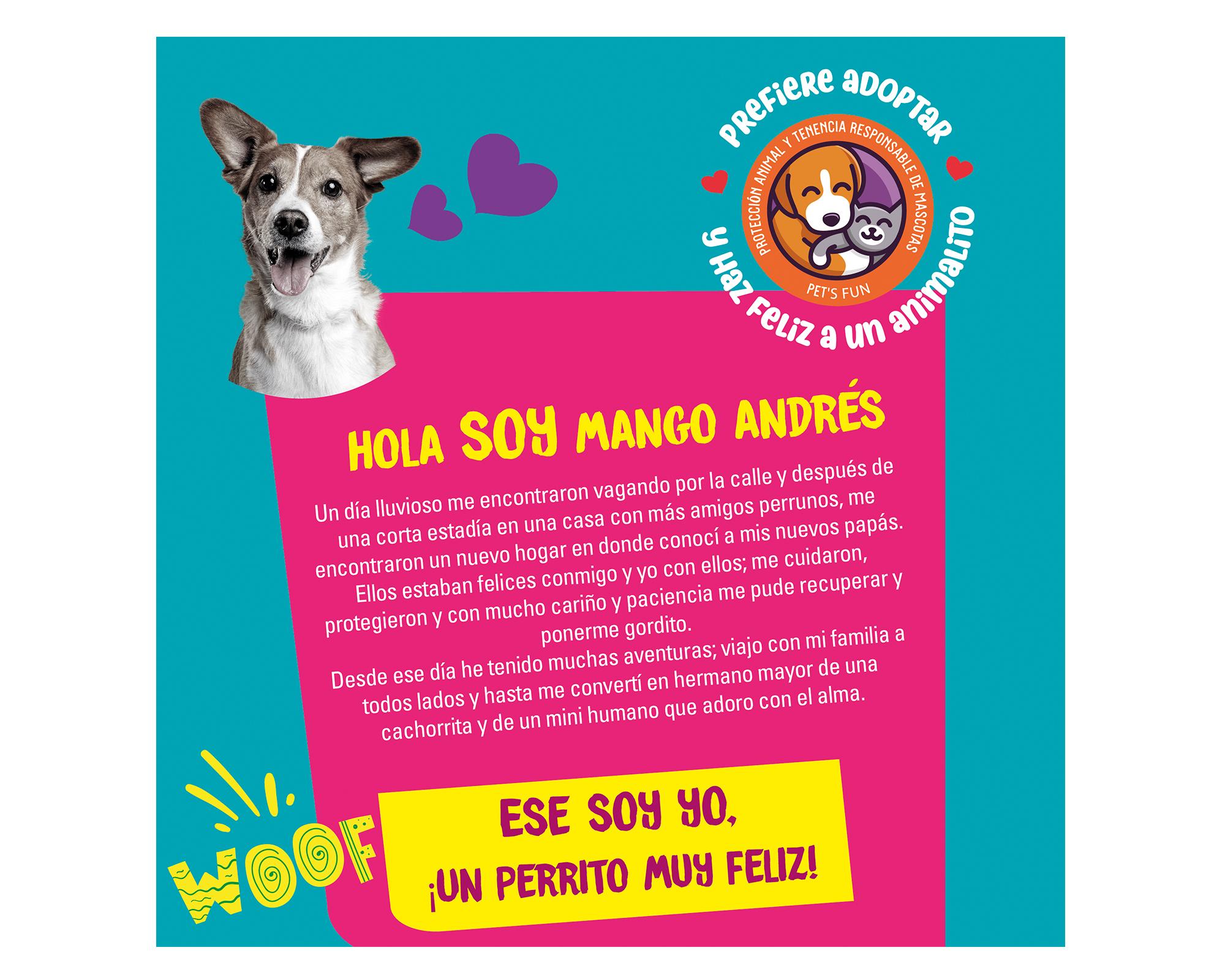 Casa perro Rundy gris/azul 59x75x66 cm-3