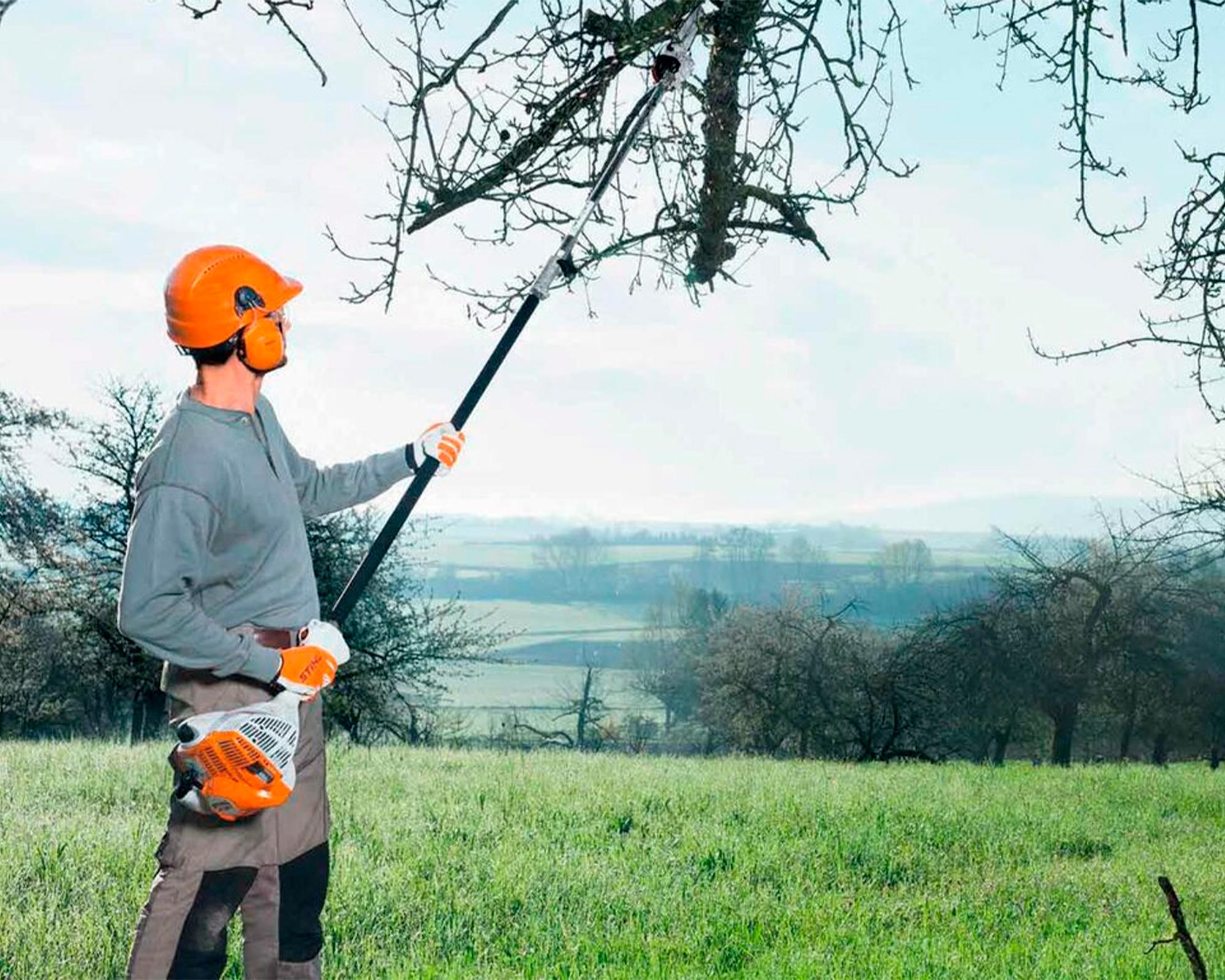 Podador altura 1.8 HP 10'' HT 56-3