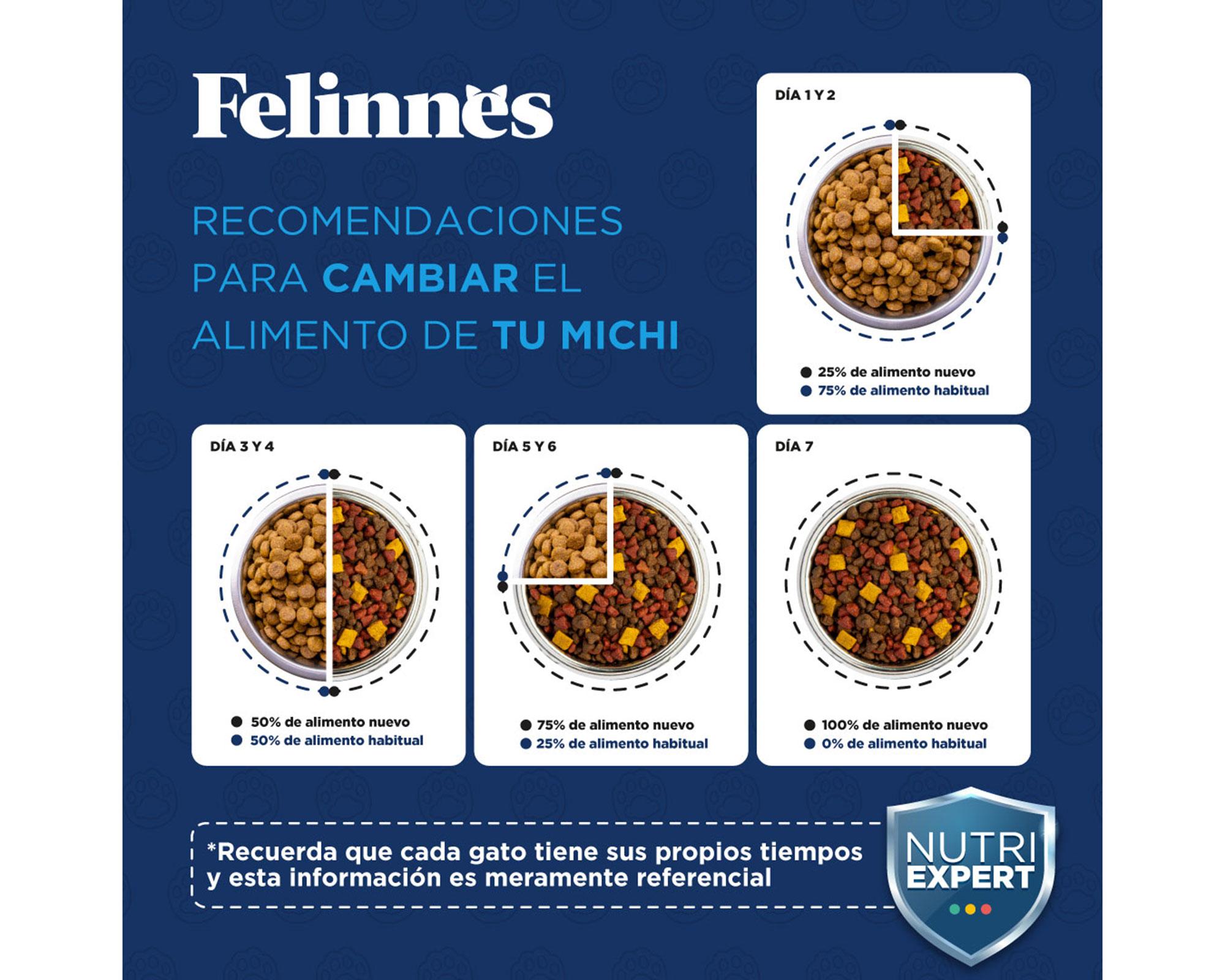 Alimento gato 8 kg salmón Premium Felinnes-2