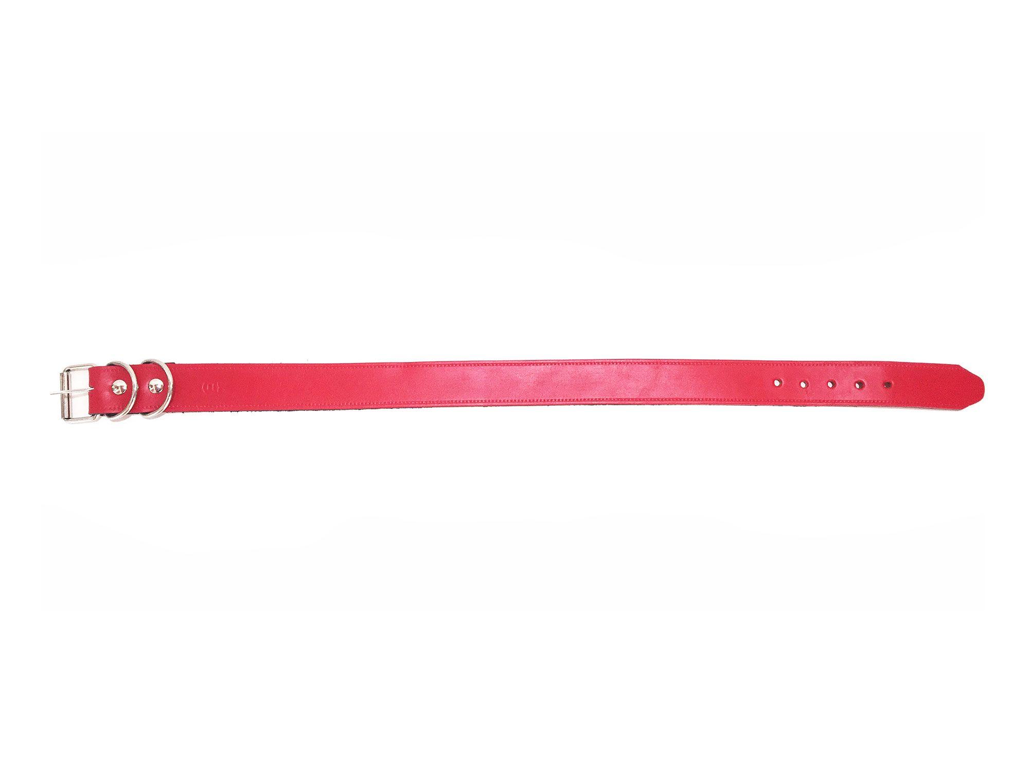 Collar perro M rojo Pets&Friends-1