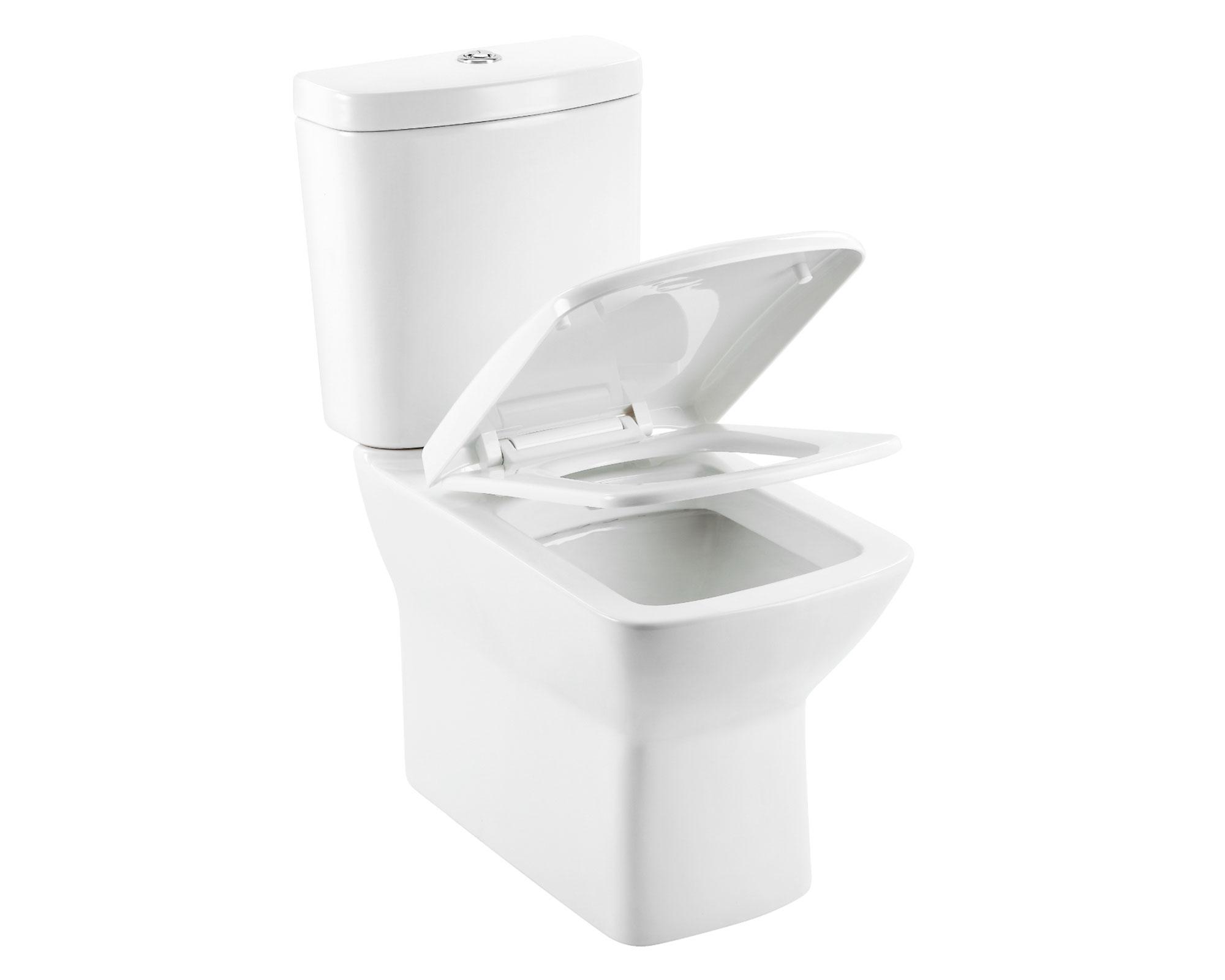 Sanitario 30 cm Dual flush asiento cierre suave Van rijn 2 piezas-1