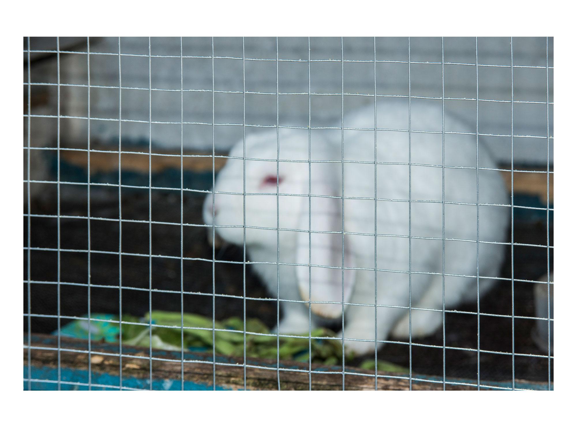 Malla electrosoldada 90 cm 5 m 1/2'' Inchalam-1