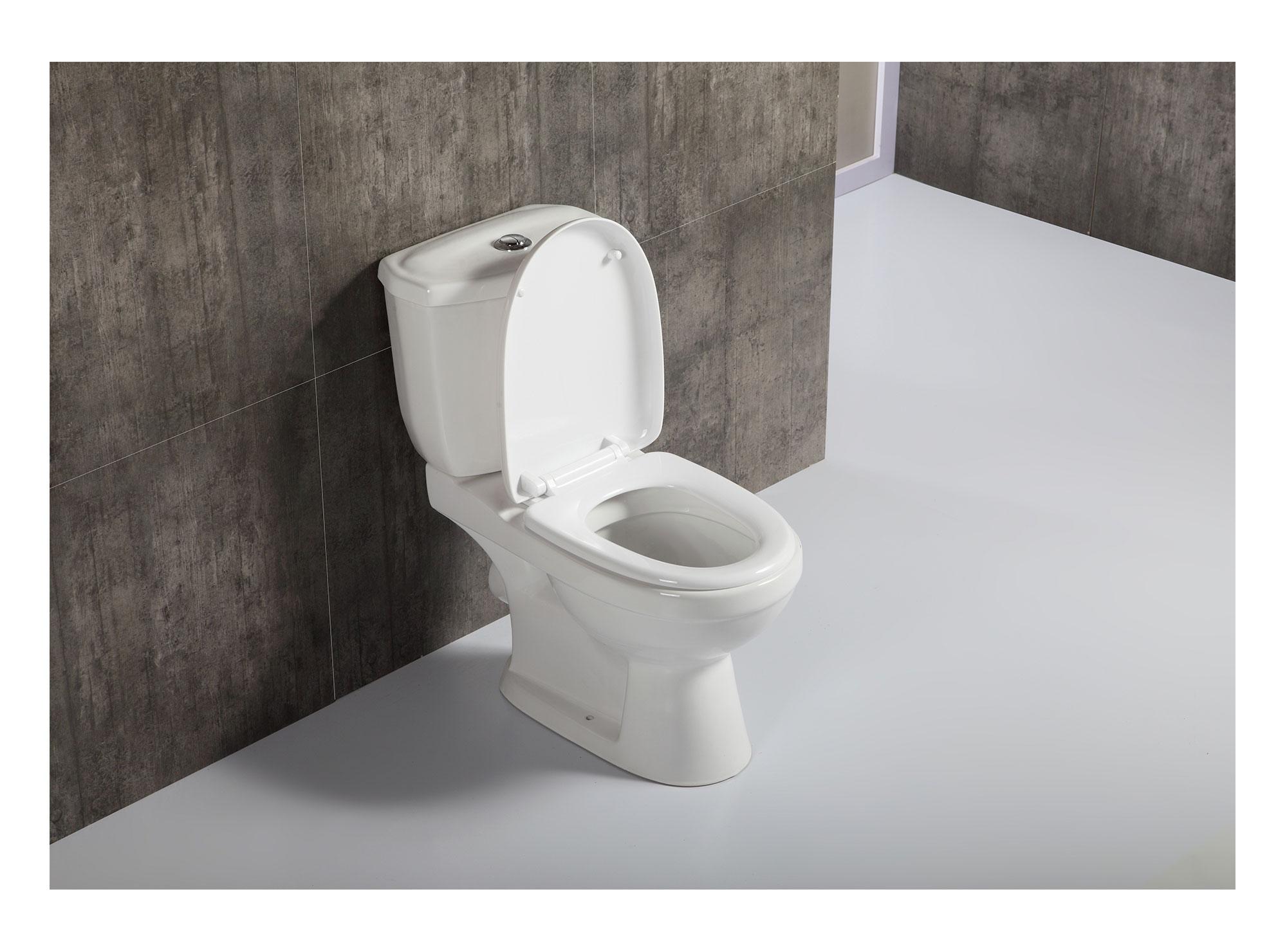 Juego de baño WC + lavamanos pedestal Portland-4