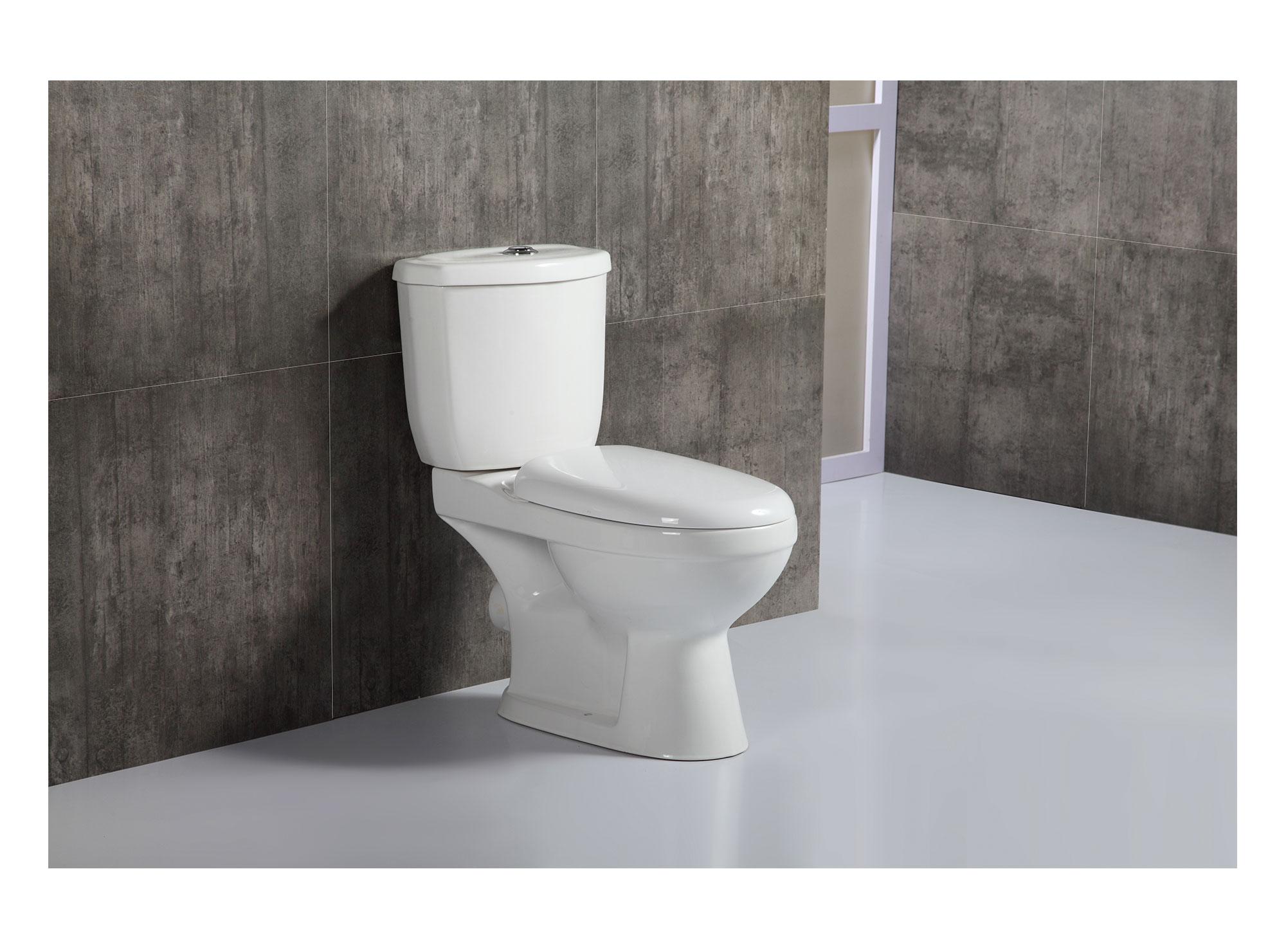 Juego de baño WC + lavamanos pedestal Portland-3