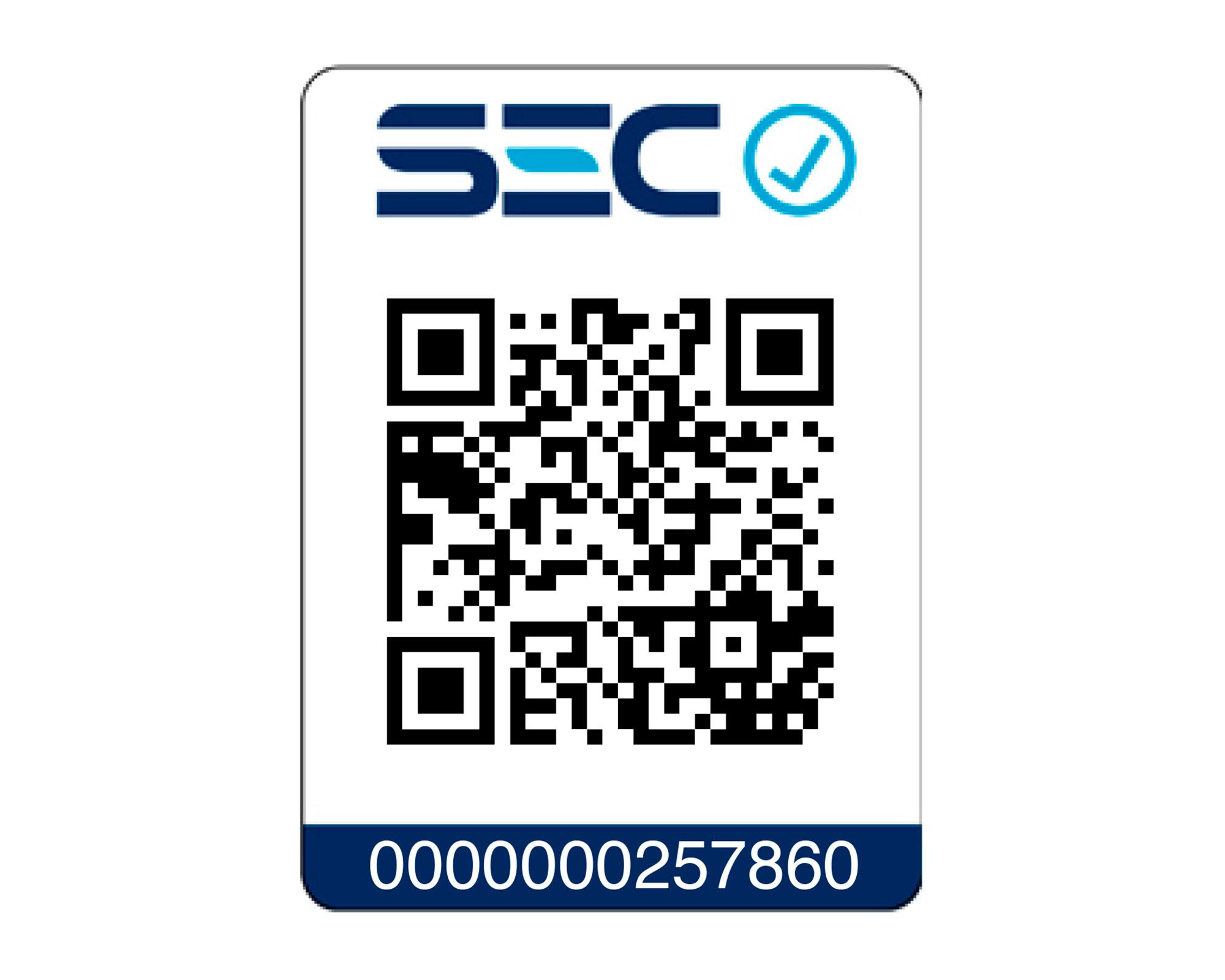 Chimenea eléctrica 2000W TH-FP70 Thomas-1