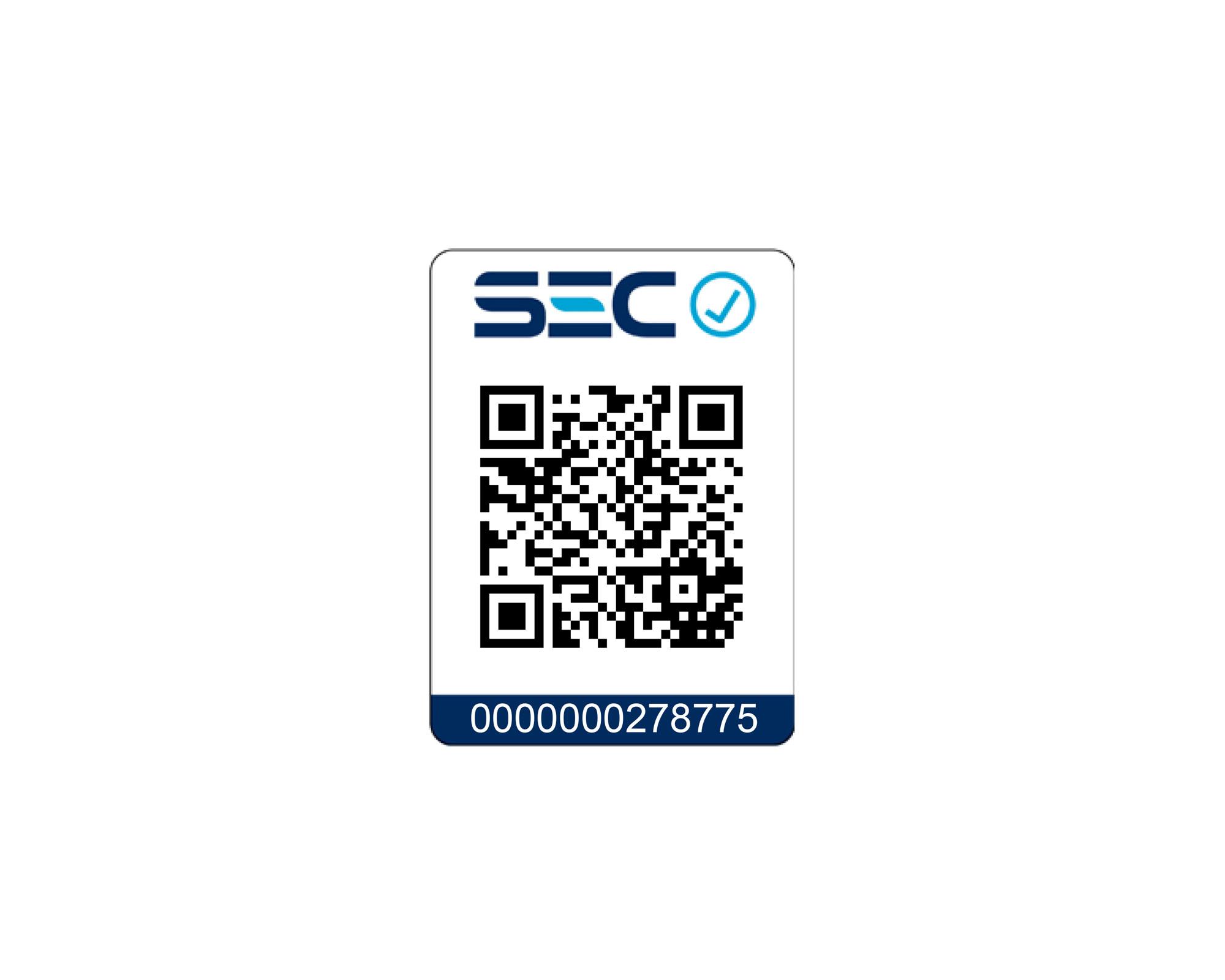 Plancha a vapor 2200W SHANGRILA Ursus Trotter-9