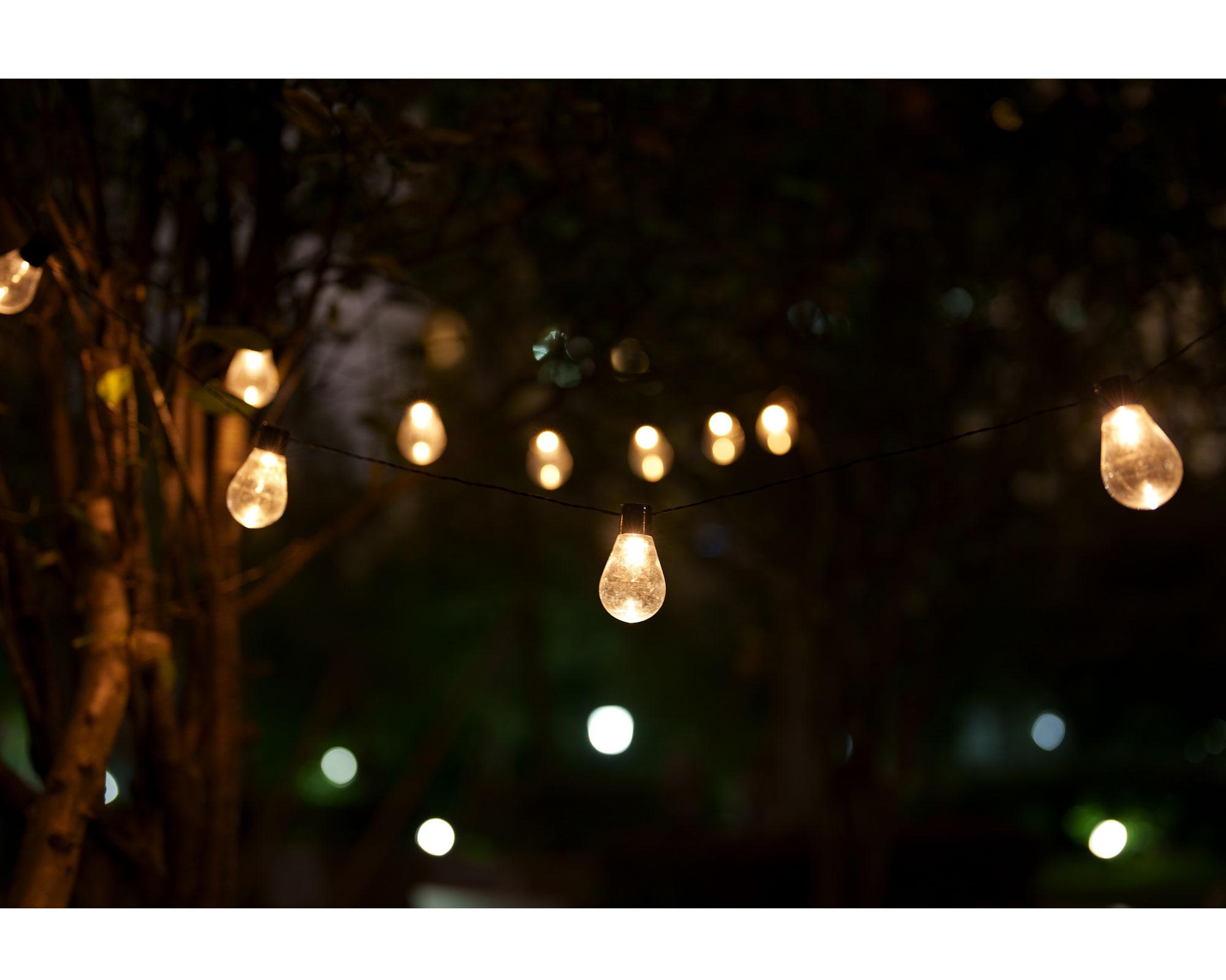 Guirnalda LED decorativa 10L Edison Abitare-2