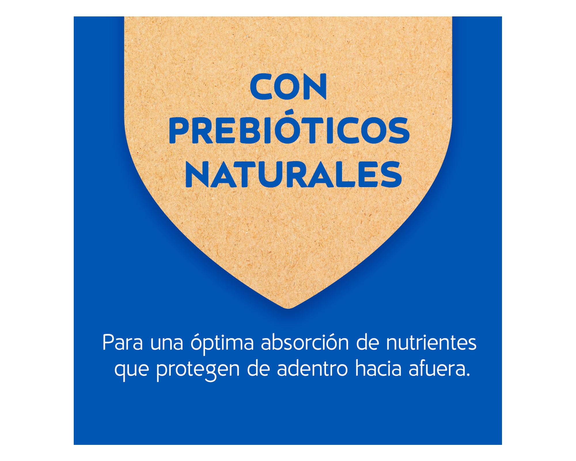 Alimento seco gatos 1 kg esterilizado Cat Chow-4