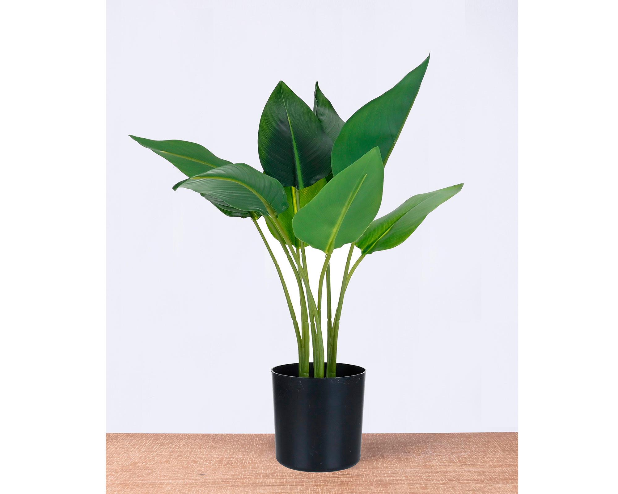 Planta artificial Strelitzia Outzen-3