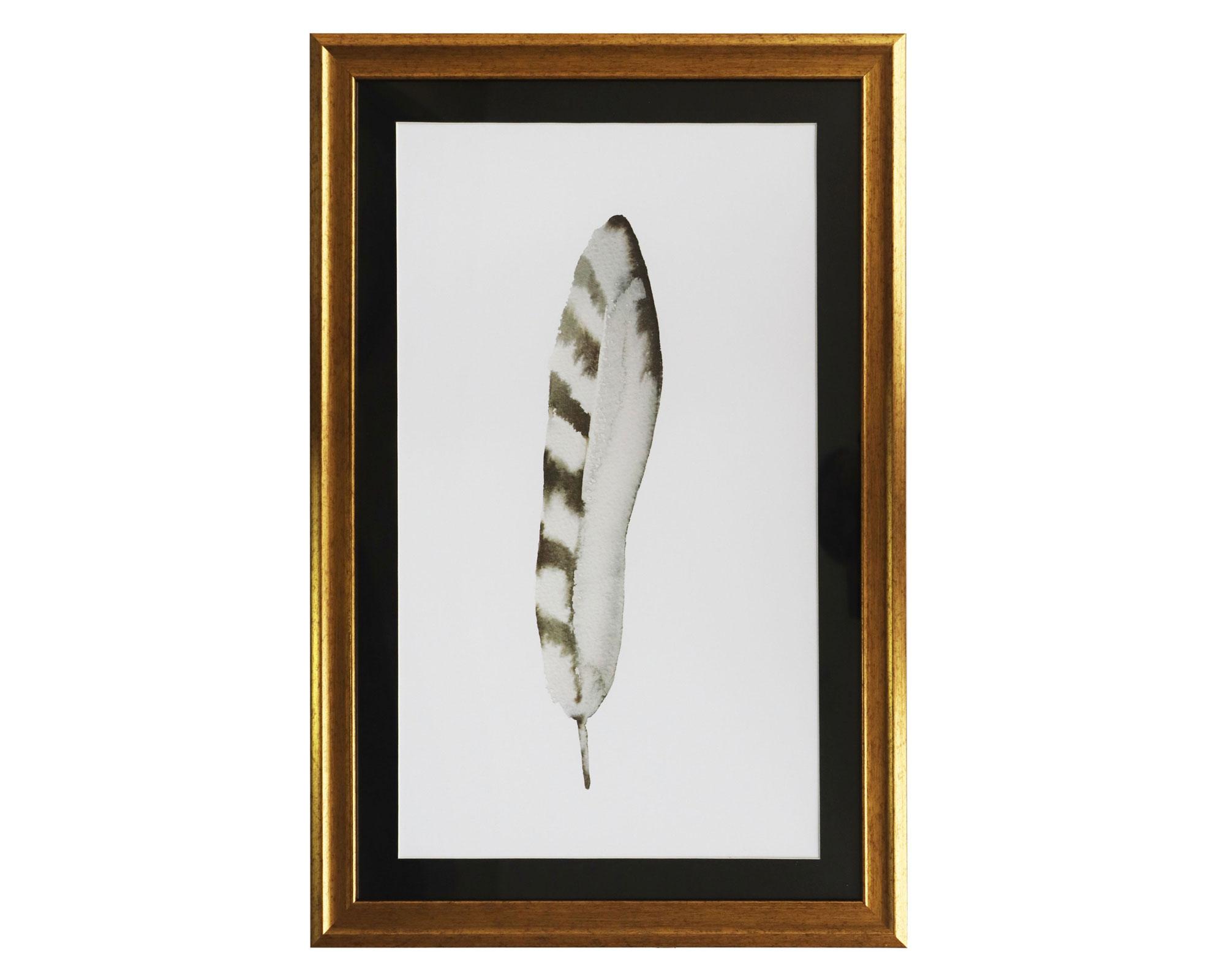Cuadro 60x40 cm Pluma Ronda.-0