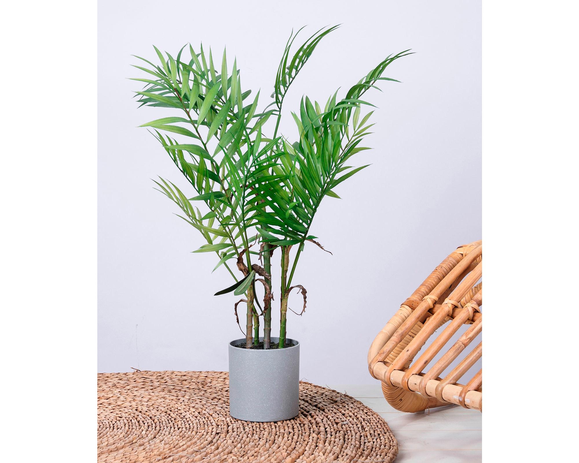 Planta artificial Anemone Outzen.-4