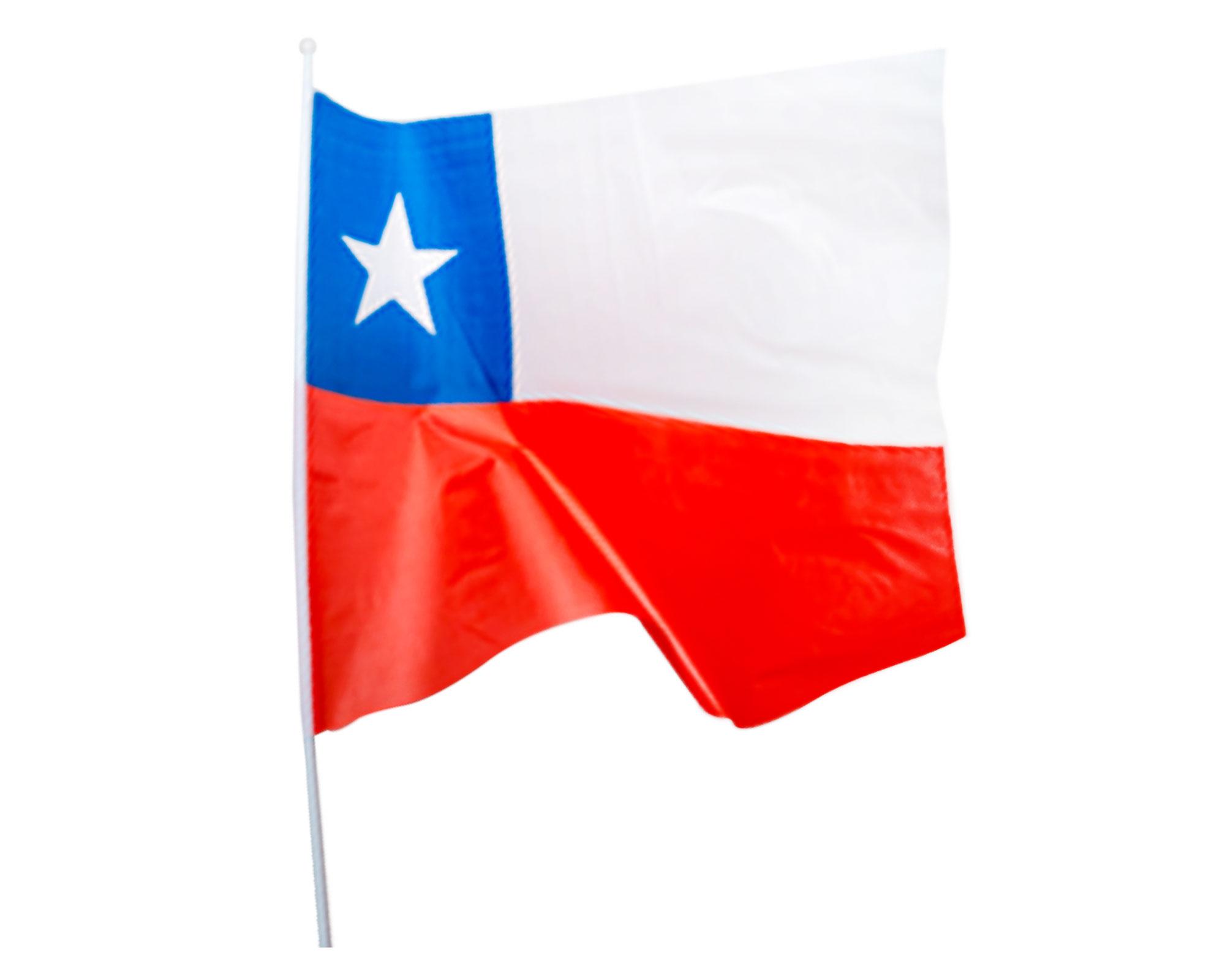 Bandera chilena 60x90 cm + varilla Producto Nativo-0