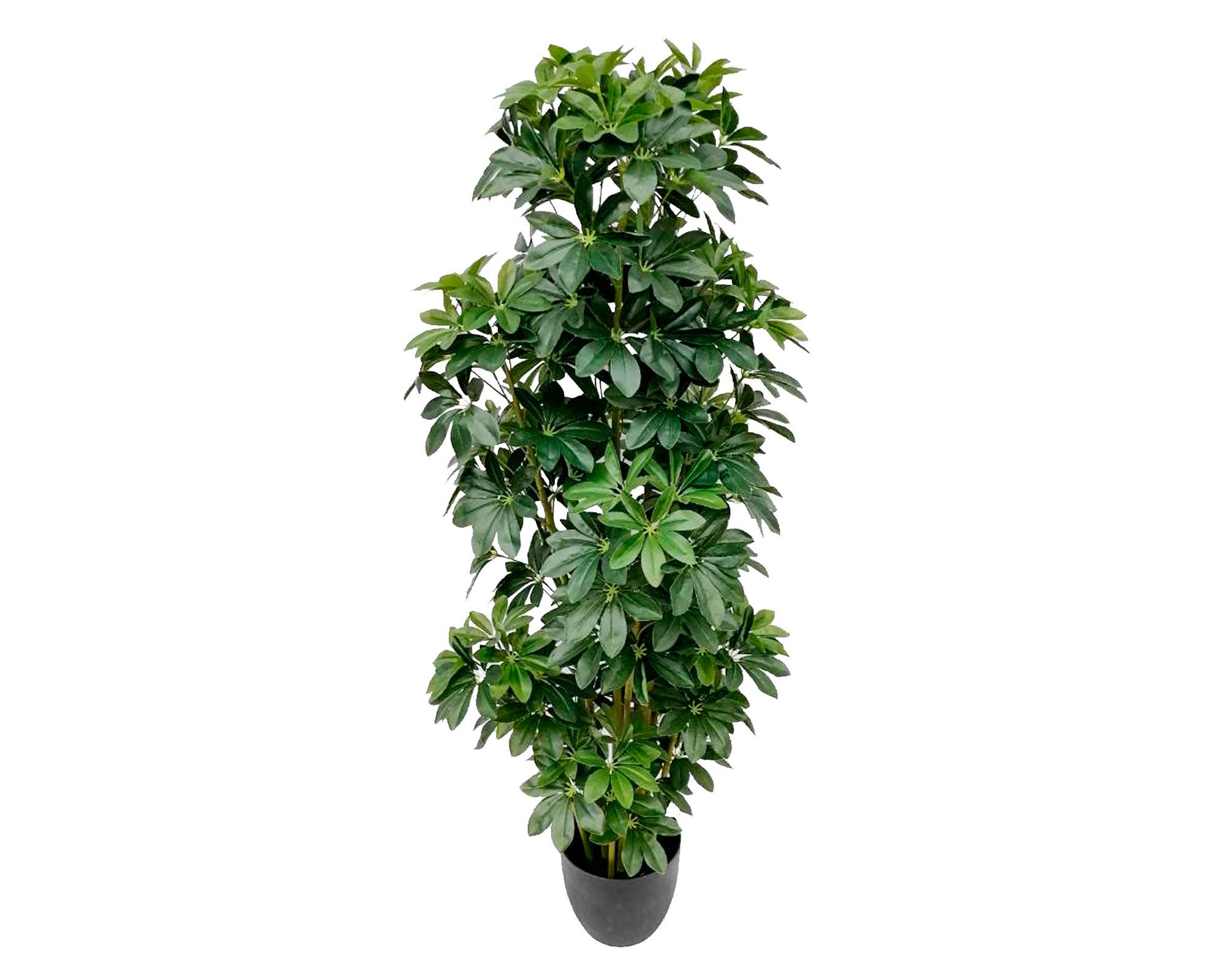 Planta artificial Schefflera Outzen.-0