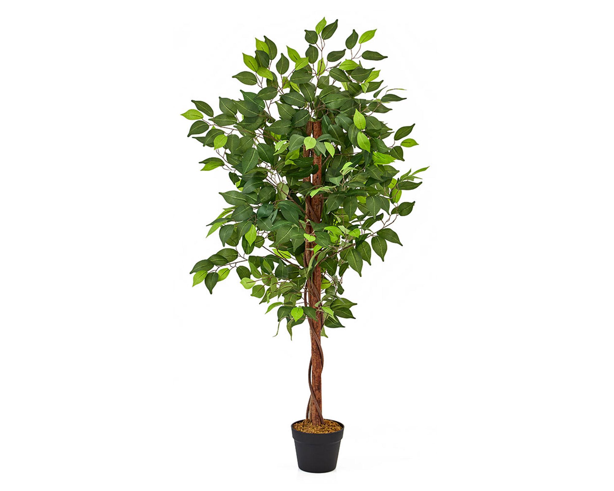 Planta artificial Ficus Outzen-7