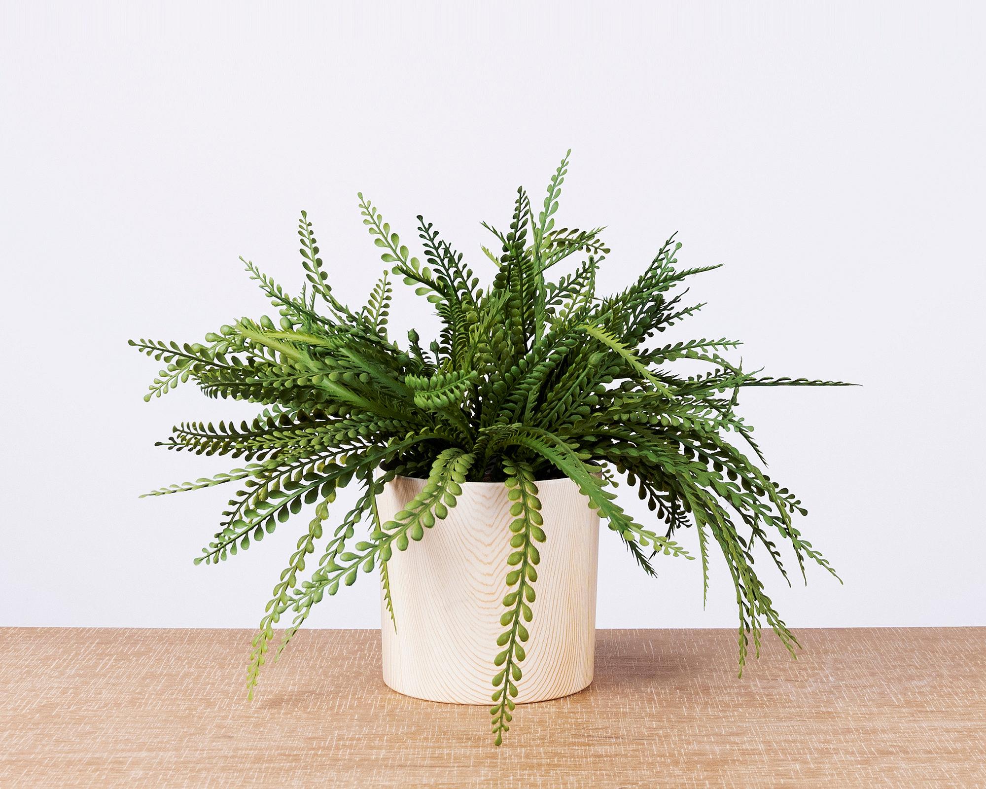 Planta artificial 32 cm Adiantum Outzen-3